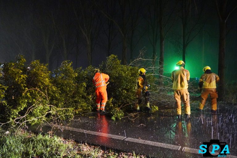 Boom blokkeert toerit A20 bij Nieuwerkerk aan den IJssel