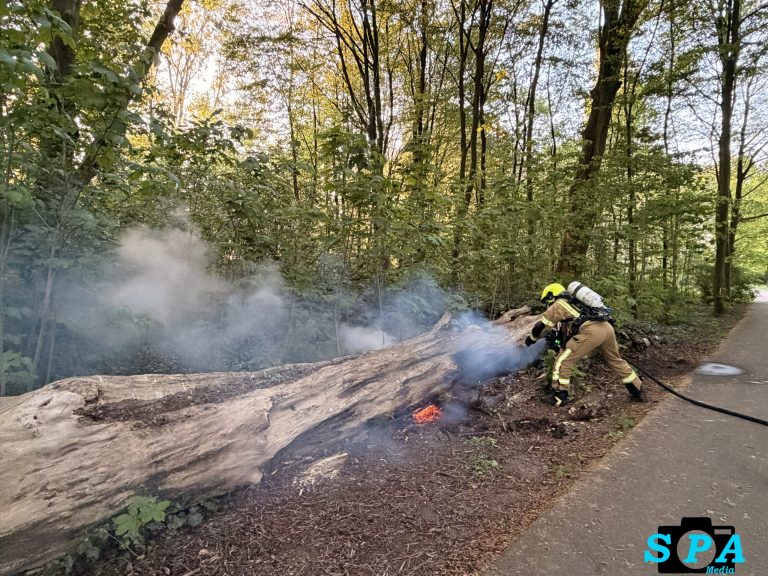 Brandweer zaagt boomstam open na smeulbrand in Rotterdam