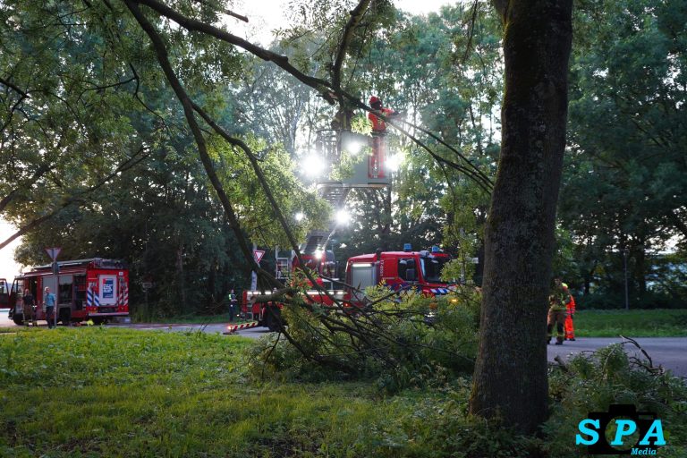 Brandweer zaagt loshangende boomtak weg aan de Bovendijk in Rotterdam
