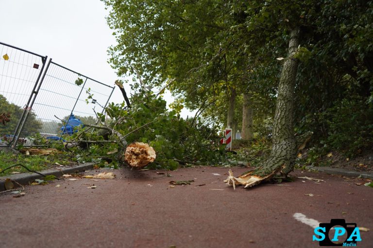 Afgebroken boomtak blokkeert fietspad langs Kanaalweg in Rotterdam